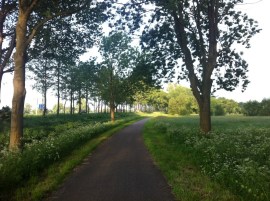 Riding into Ouderkerk