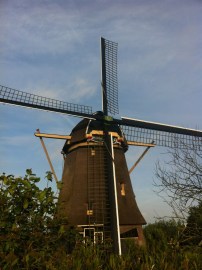 Always love seeing windmills